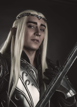 Illustration for article titled Not Sure If Cosplayer Or Actual Elven King